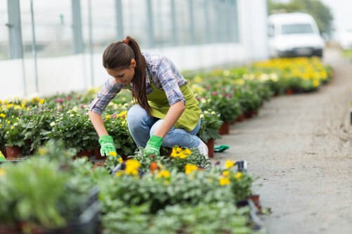 A gardener reviewing a service complaint form