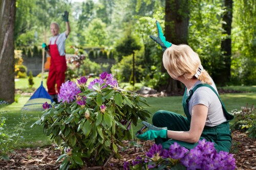 Inspecting tools and equipment before garden maintenance tasks