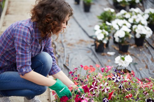 Gardeners Riddlesdown accessibility commitment illustration