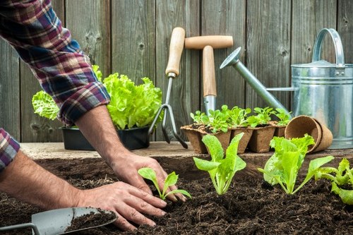 Gardeners Riddlesdown enhancing a residential garden with expert care