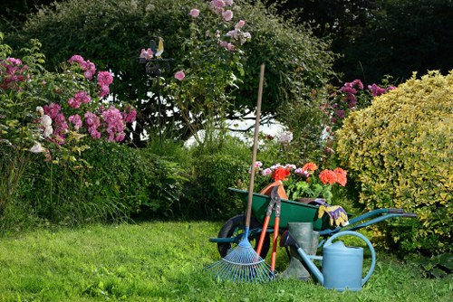 Overgrown hedge being carefully trimmed in Riddlesdown