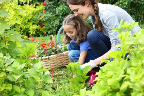 Soft landscaping plants and lawn design for a Riddlesdown home garden