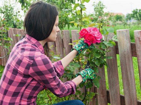 Gardeners Riddlesdown modern slavery statement introduction