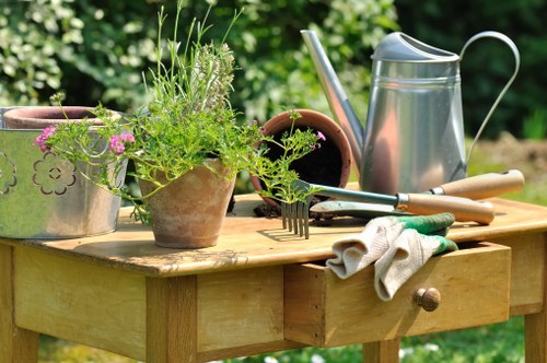 Professional lawn care treatment for a garden in Riddlesdown