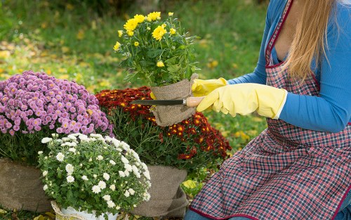 Seasonal lawn mowing care for a tidy Riddlesdown outdoor space