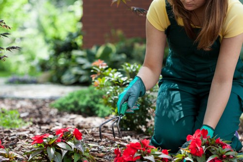 Professional grass cutting and lawn edging in a Riddlesdown garden