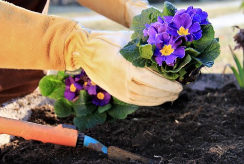 Autumn lawn preparation and maintenance in Riddlesdown
