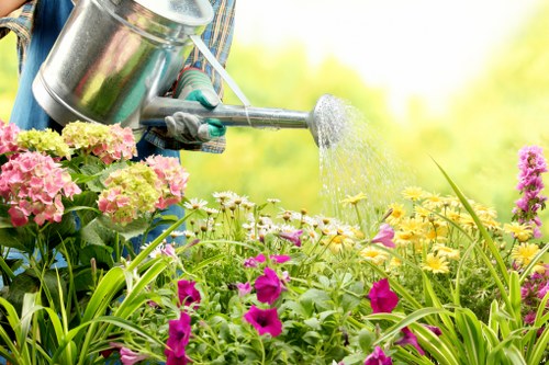 Patio cleaning service restoring outdoor paving in Riddlesdown