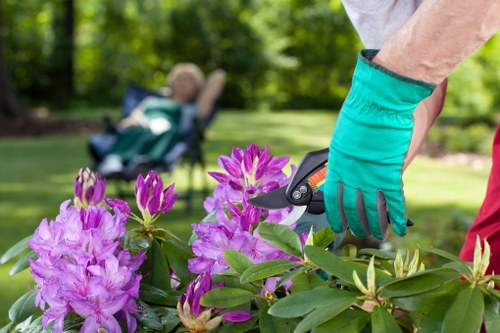Sustainable lawn care for a tidy Riddlesdown garden