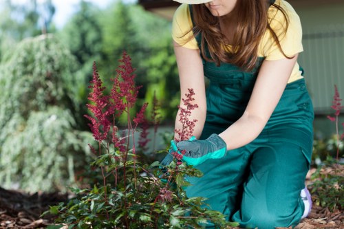 Professional garden maintenance improving a Riddlesdown outdoor space