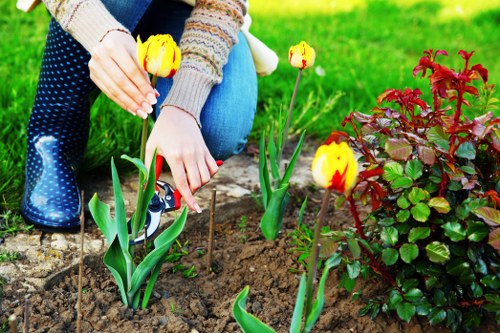 Well-maintained lawn and landscaped garden with gardening services in Riddlesdown