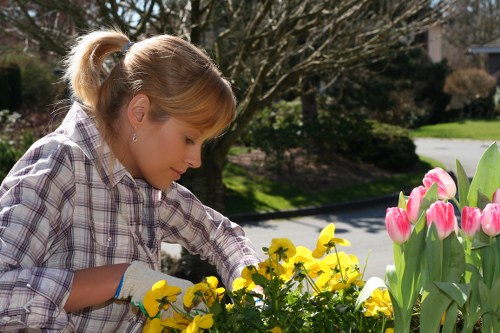 Reporting concerns within Gardeners Riddlesdown compliance process