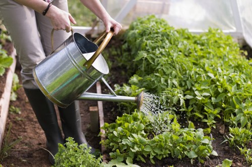 Seasonal garden maintenance in Riddlesdown before autumn
