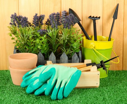 Local gardener carrying out lawn and hedge maintenance in Riddlesdown