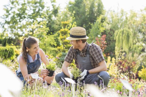Lawn care and garden upkeep in Riddlesdown during the growing season