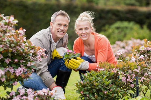 Seasonal autumn garden maintenance in Riddlesdown with leaf clearance