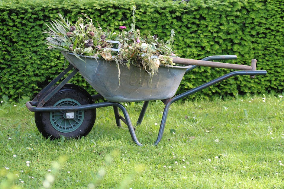 A metal wheelbarrow filled with garden debris, including wilted leaves, dried flowers, and plant stems, resting on a grassy lawn area. The wheelbarrow has a large black wheel with a green hub, and ext